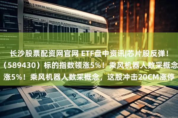 长沙股票配资网官网 ETF盘中资讯|芯片股反弹！科创芯片设计ETF华宝（589430）标的指数领涨5%！乘风机器人数采概念，这股冲击20CM涨停